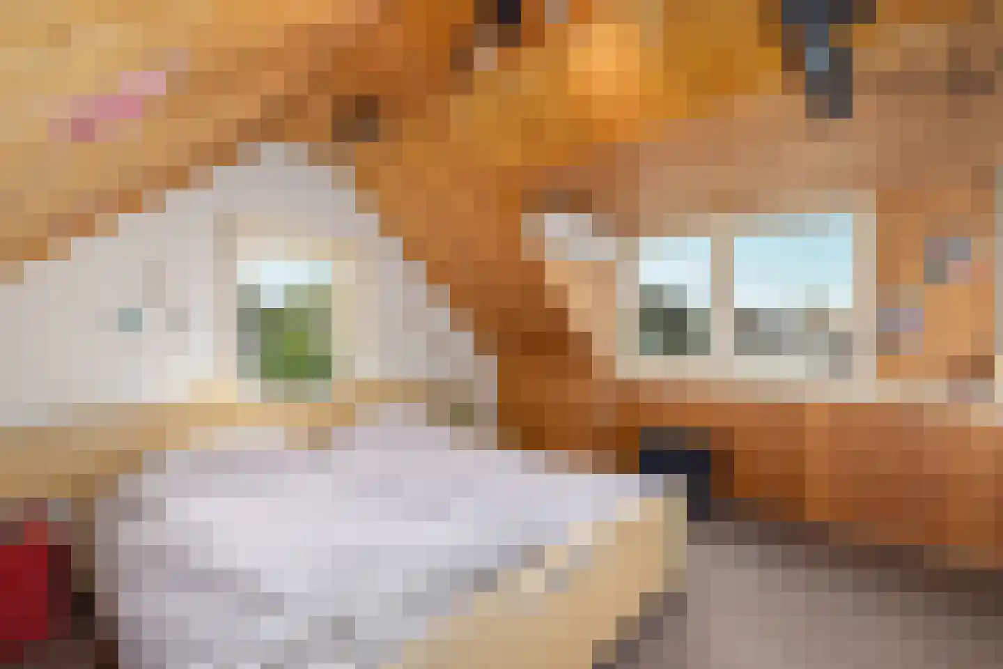 Paardsweide 2 's-Hertogenbosch thumbnail 37
