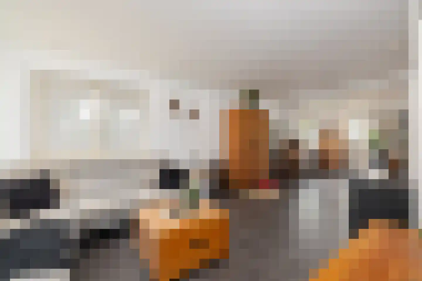 Paardsweide 2 's-Hertogenbosch thumbnail 5