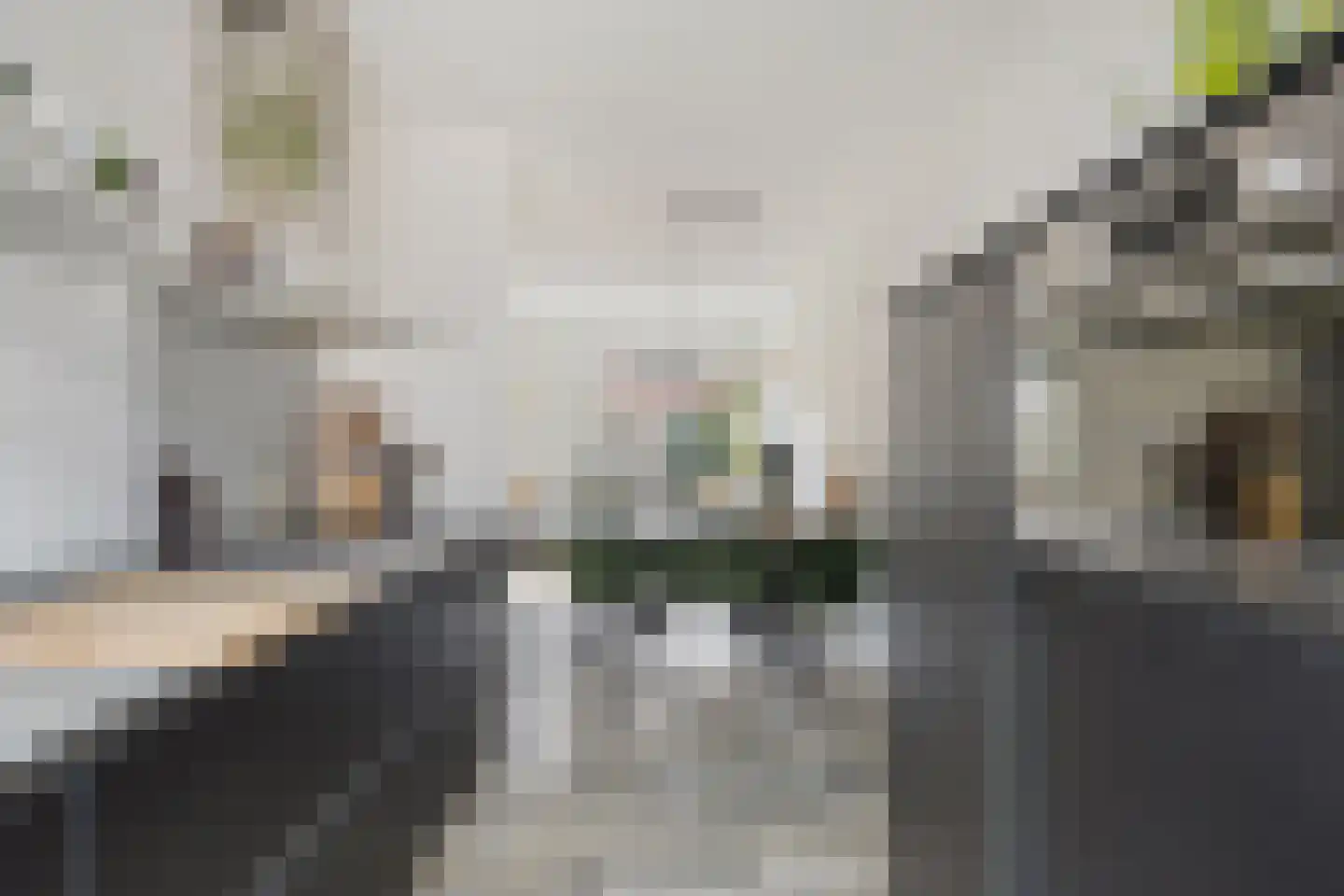 Paarl 4 Tilburg thumbnail 20