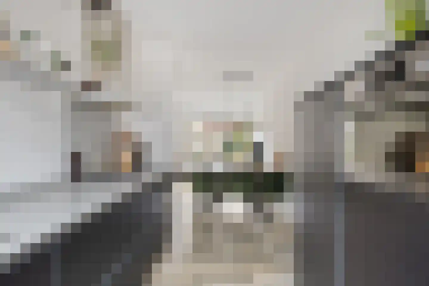 Paarl 4 Tilburg thumbnail 21