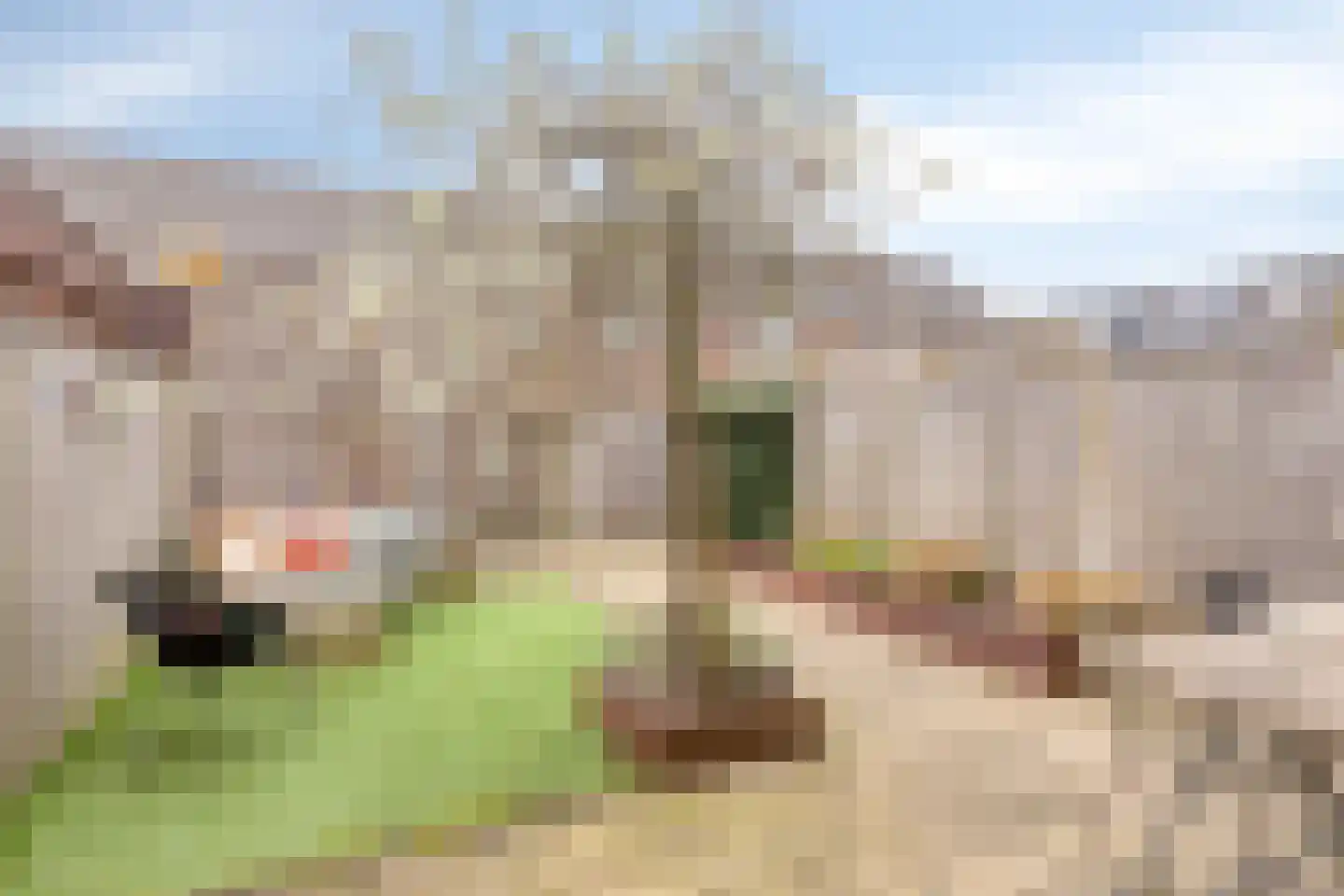 Paarl 4 Tilburg thumbnail 36