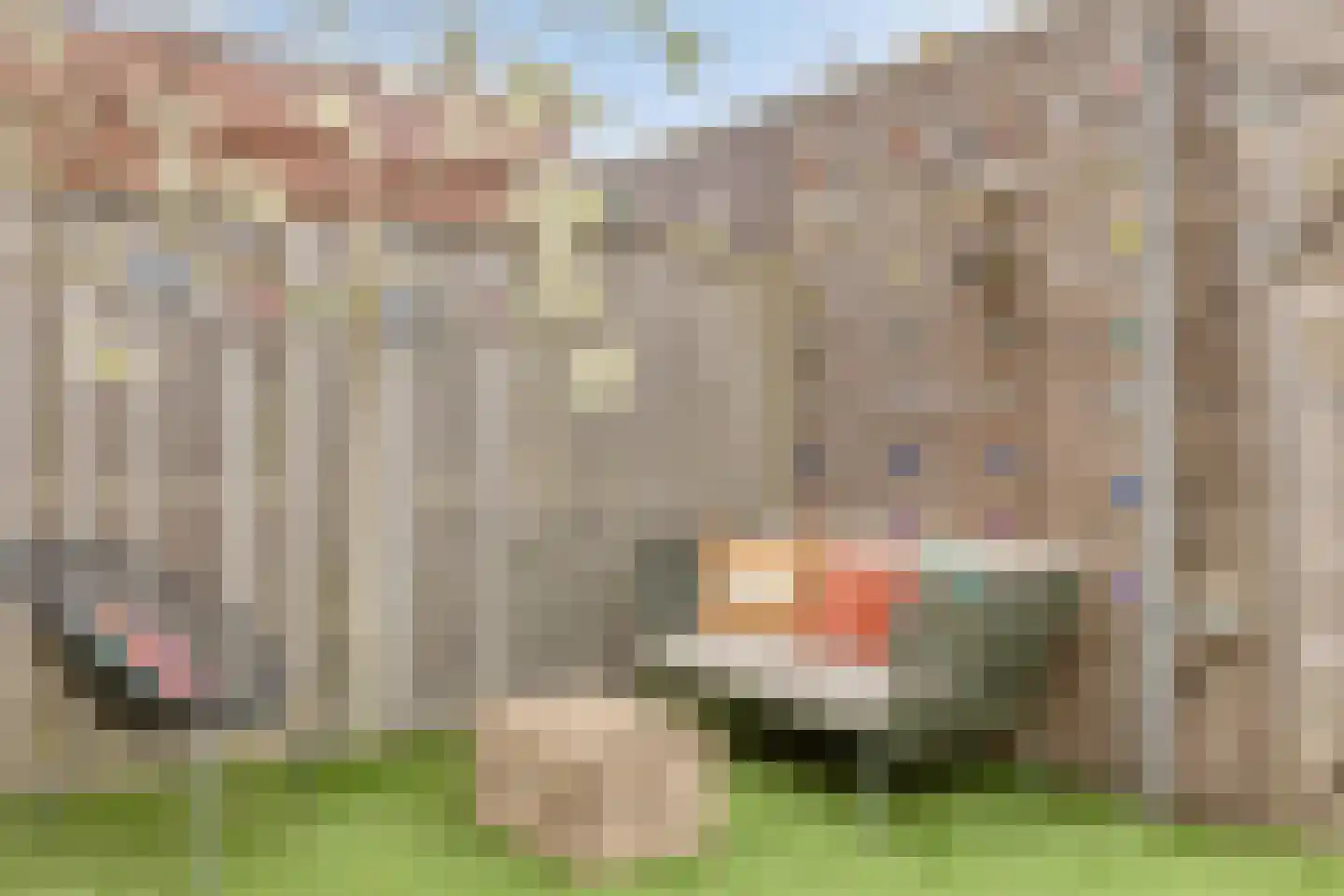 Paarl 4 Tilburg thumbnail 39