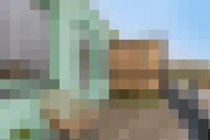 Paarlemoervijver 14 Almere thumbnail 34
