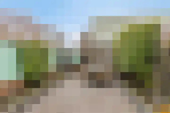 Paarlemoervijver 14 Almere thumbnail 36