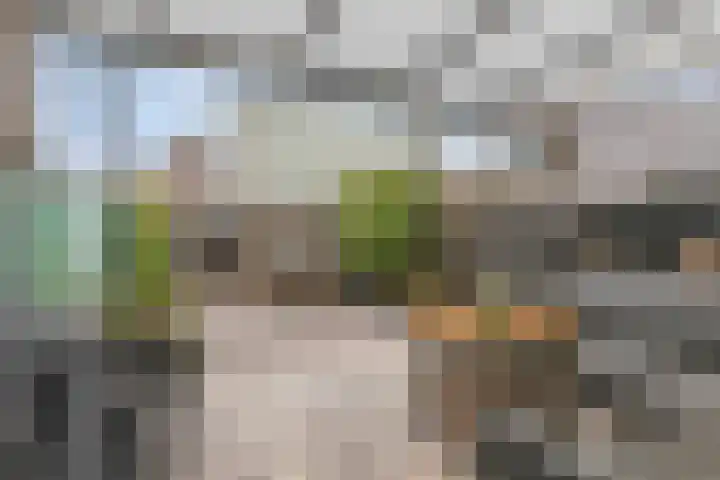 Paarlemoervijver 14 Almere thumbnail 4