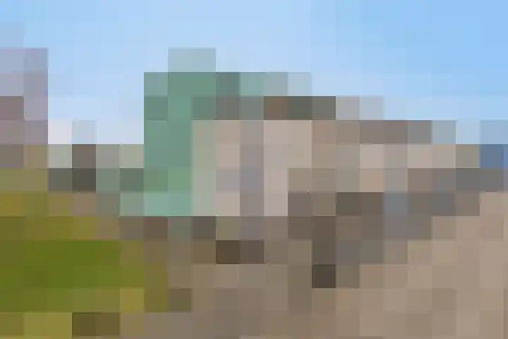 Paarlemoervijver 14 Almere thumbnail 5