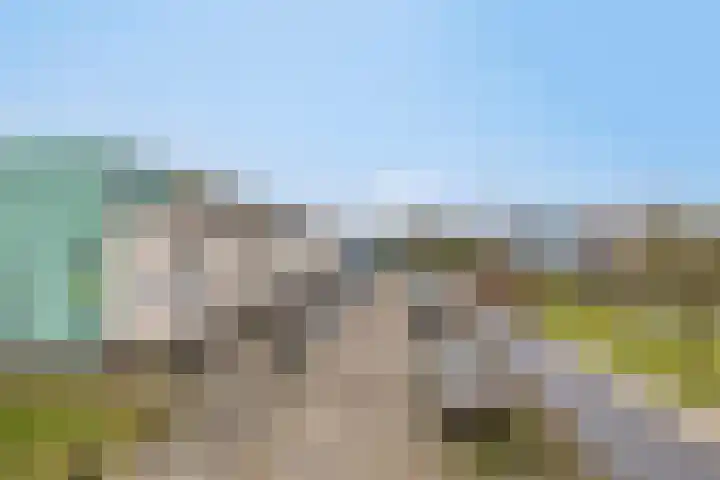Paarlemoervijver 14 Almere thumbnail 6