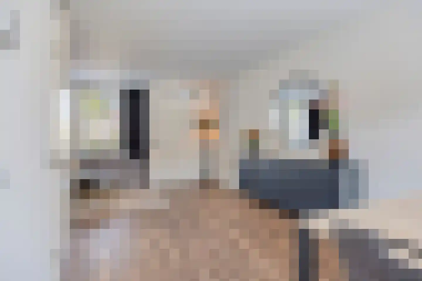 Paasakkers 4 Heesch thumbnail 10