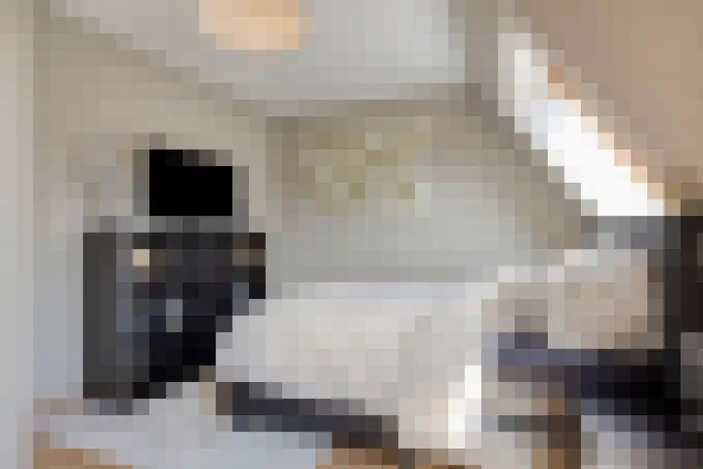 Paasakkers 4 Heesch thumbnail 18