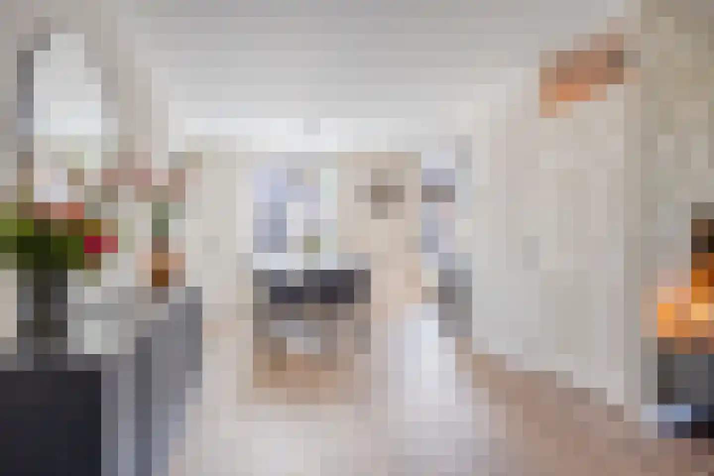 Paasakkers 4 Heesch thumbnail 8