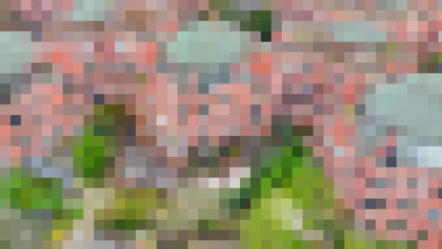 Paasberg 130 Capelle aan den IJssel thumbnail 38