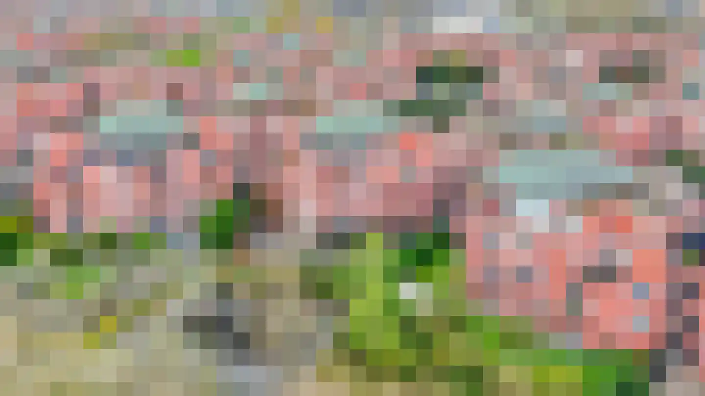 Paasberg 130 Capelle aan den IJssel thumbnail 39