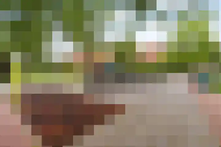 Paasberg 141 Capelle aan den IJssel thumbnail 30