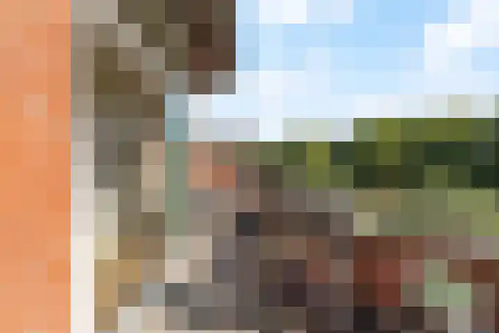 Paasberg 141 Capelle aan den IJssel thumbnail 4
