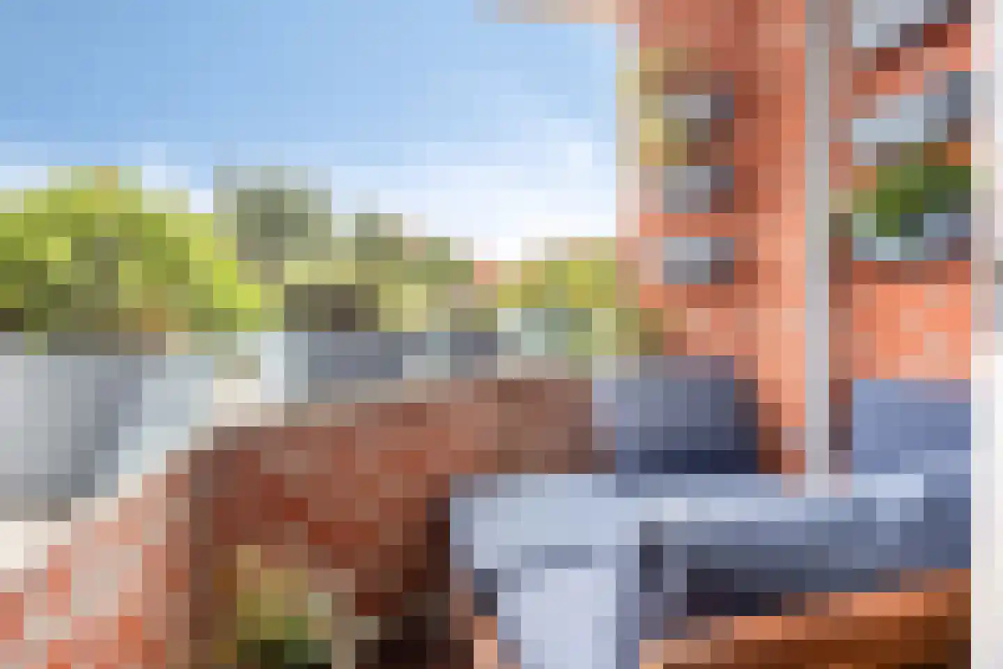 Paasberg 178 Capelle aan den IJssel thumbnail 6