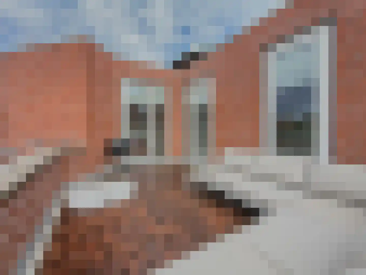 Paasberg 181 Capelle aan den IJssel thumbnail 14
