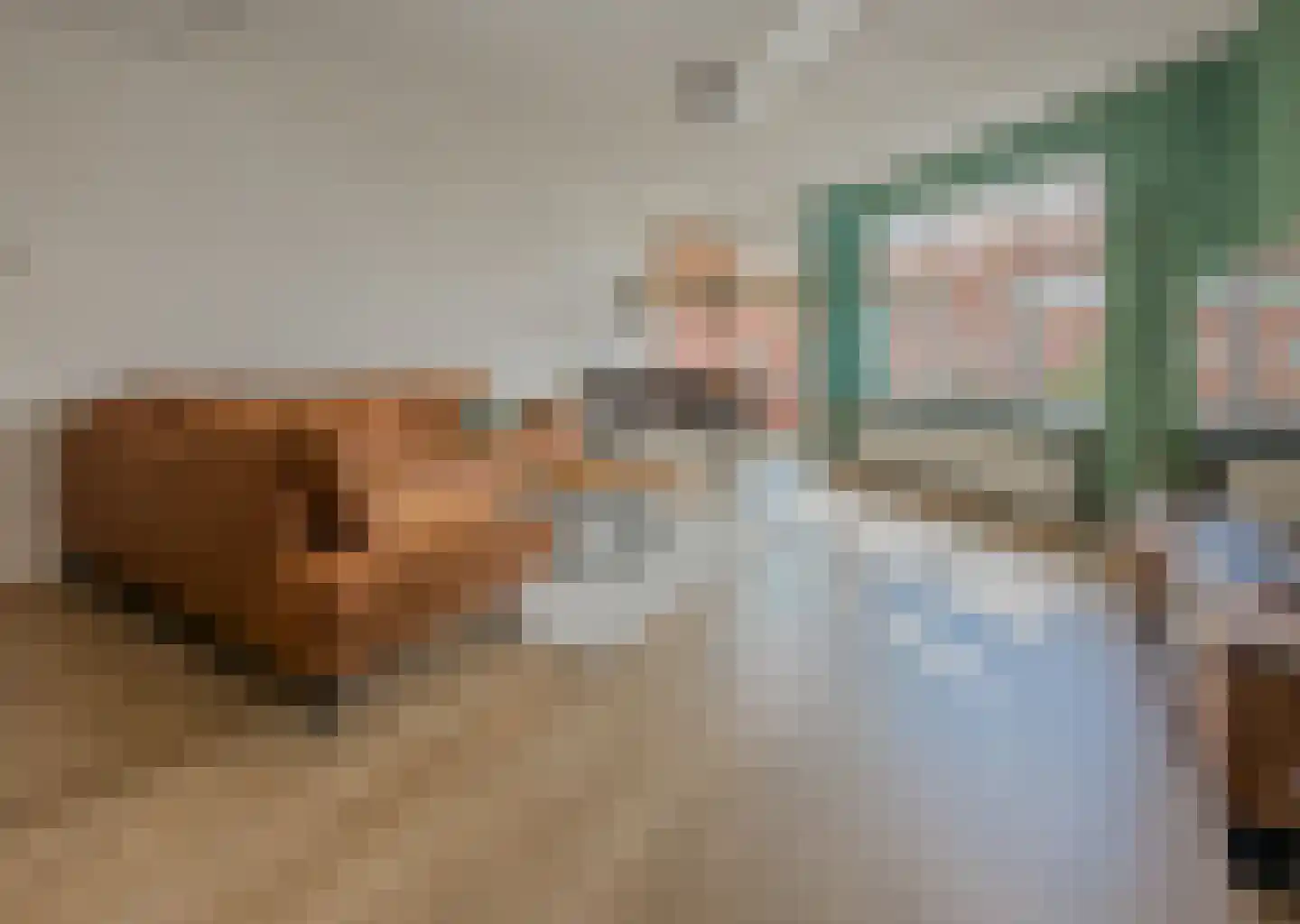Paasberg 181 Capelle aan den IJssel thumbnail 8