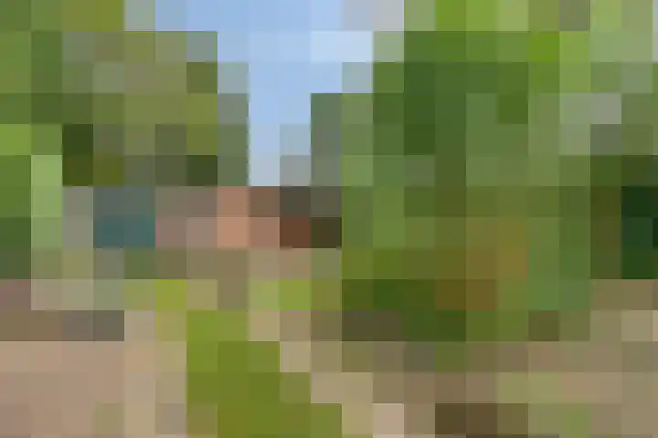 Paasberg 26 Oosterbeek thumbnail 29