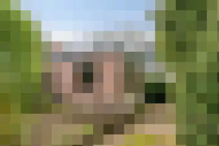 Paasberg 26 Oosterbeek thumbnail 37