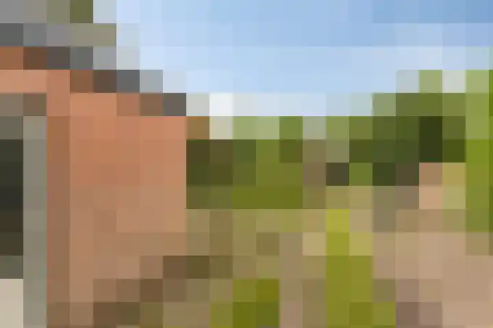 Paasberg 26 Oosterbeek thumbnail 38