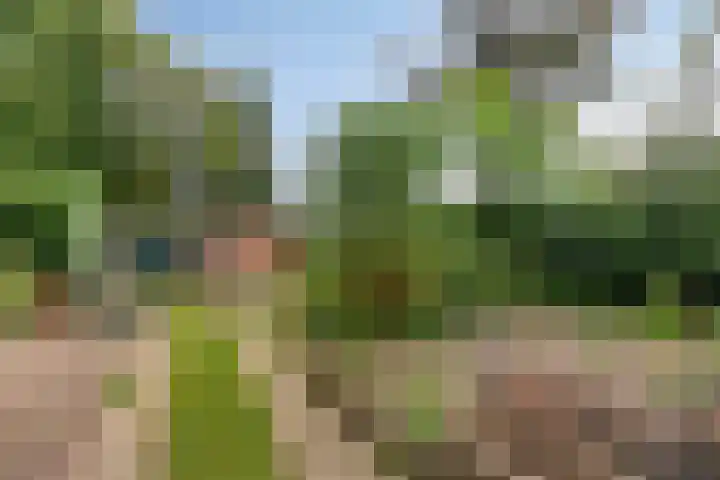 Paasberg 26 Oosterbeek thumbnail 39