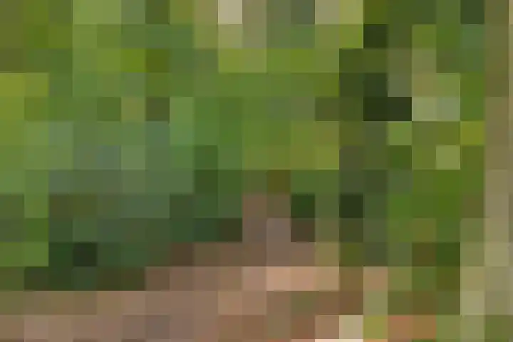 Paasberg 26 Oosterbeek thumbnail 40