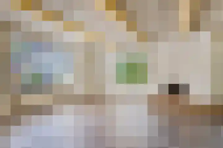 Paasberg 26 Oosterbeek thumbnail 8