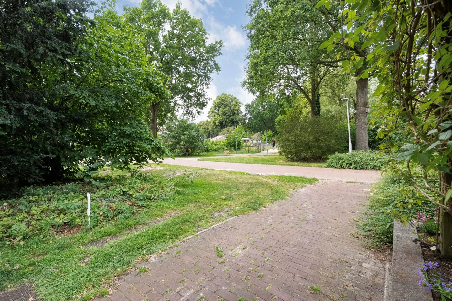 Paasberg 6 Hardenberg thumbnail 8
