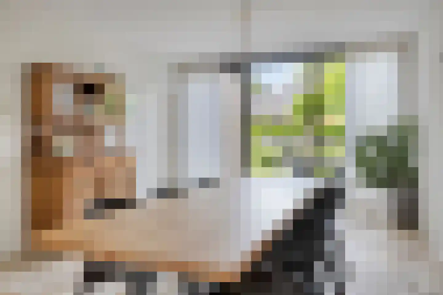 Paasberglaan 14 Eindhoven thumbnail 11
