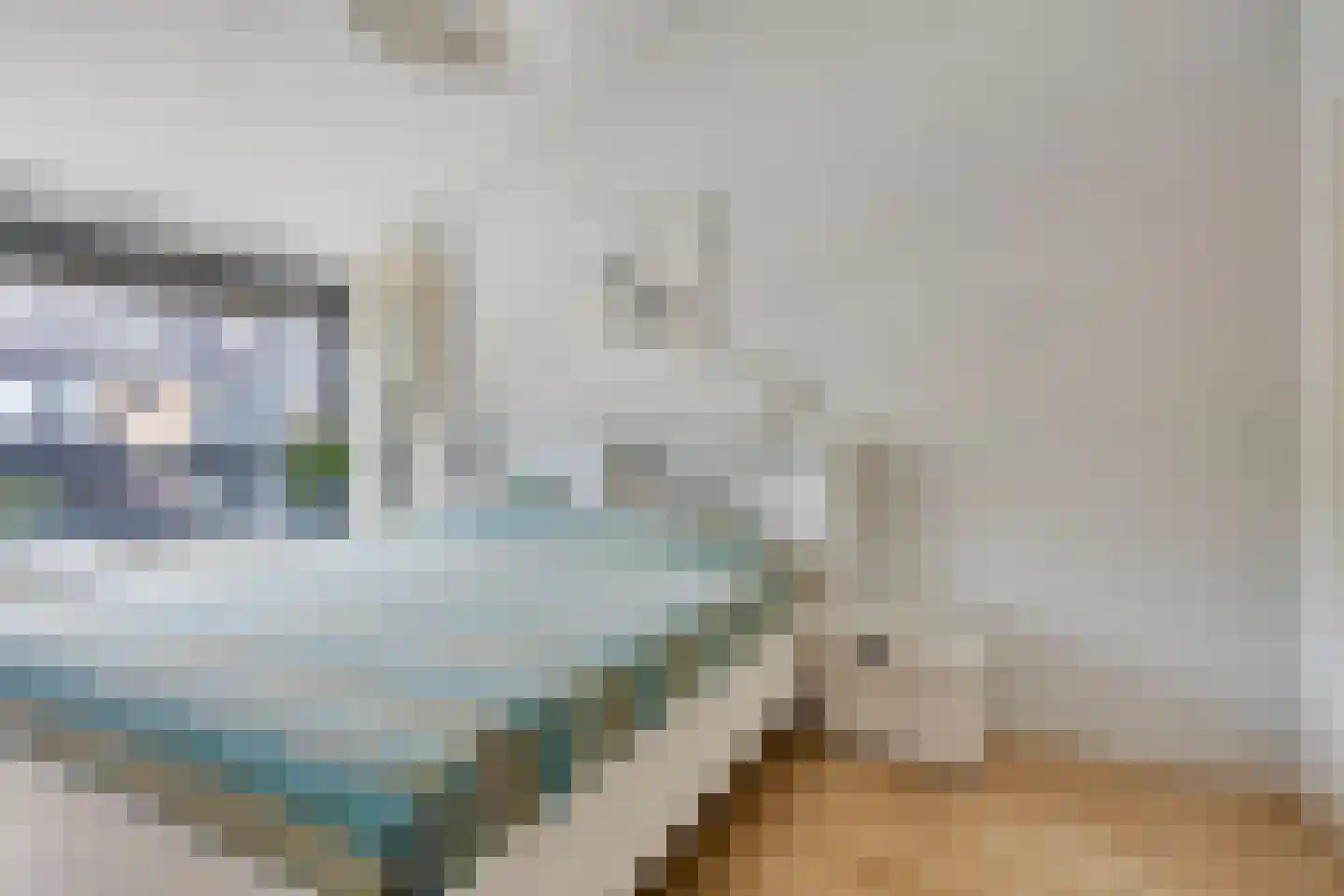 Paasberglaan 14 Eindhoven thumbnail 18