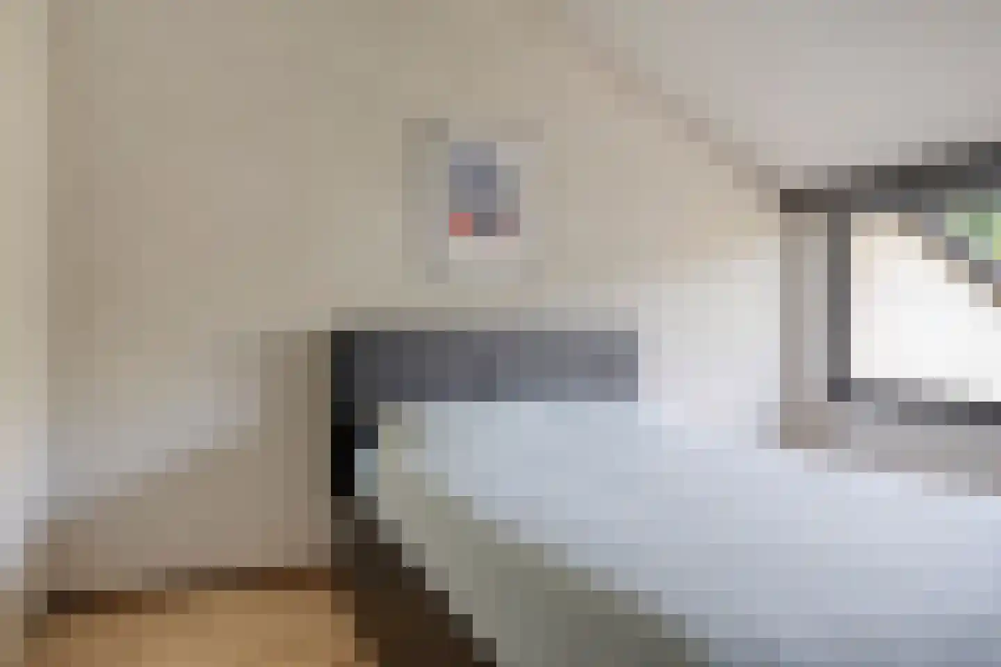 Paasberglaan 14 Eindhoven thumbnail 23