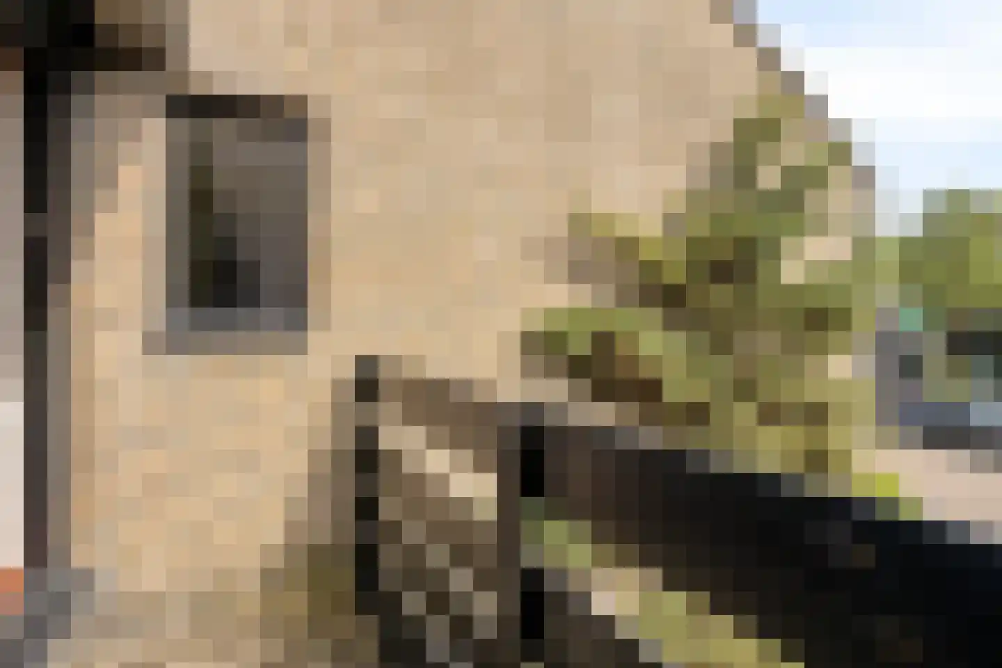 Paasberglaan 14 Eindhoven thumbnail 29
