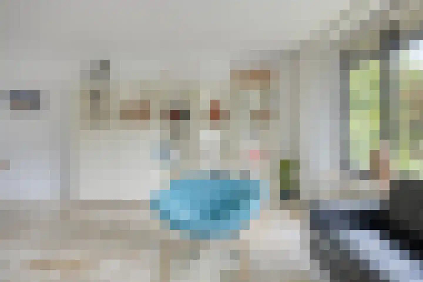 Paasberglaan 14 Eindhoven thumbnail 7