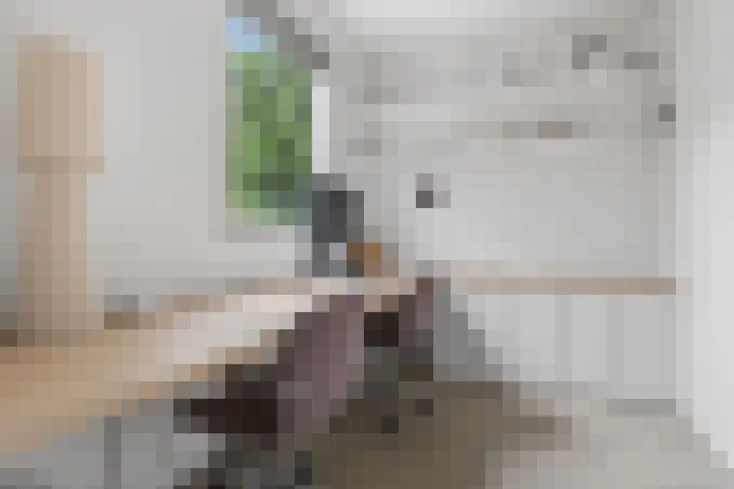Paasberglaan 20 Arnhem thumbnail 19