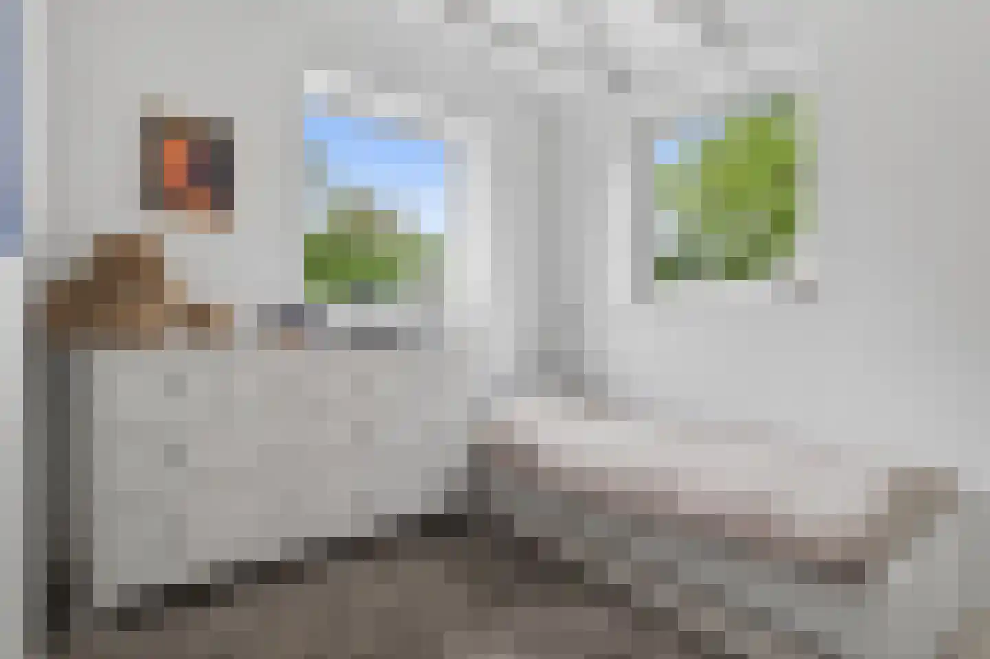 Paasberglaan 20 Arnhem thumbnail 32