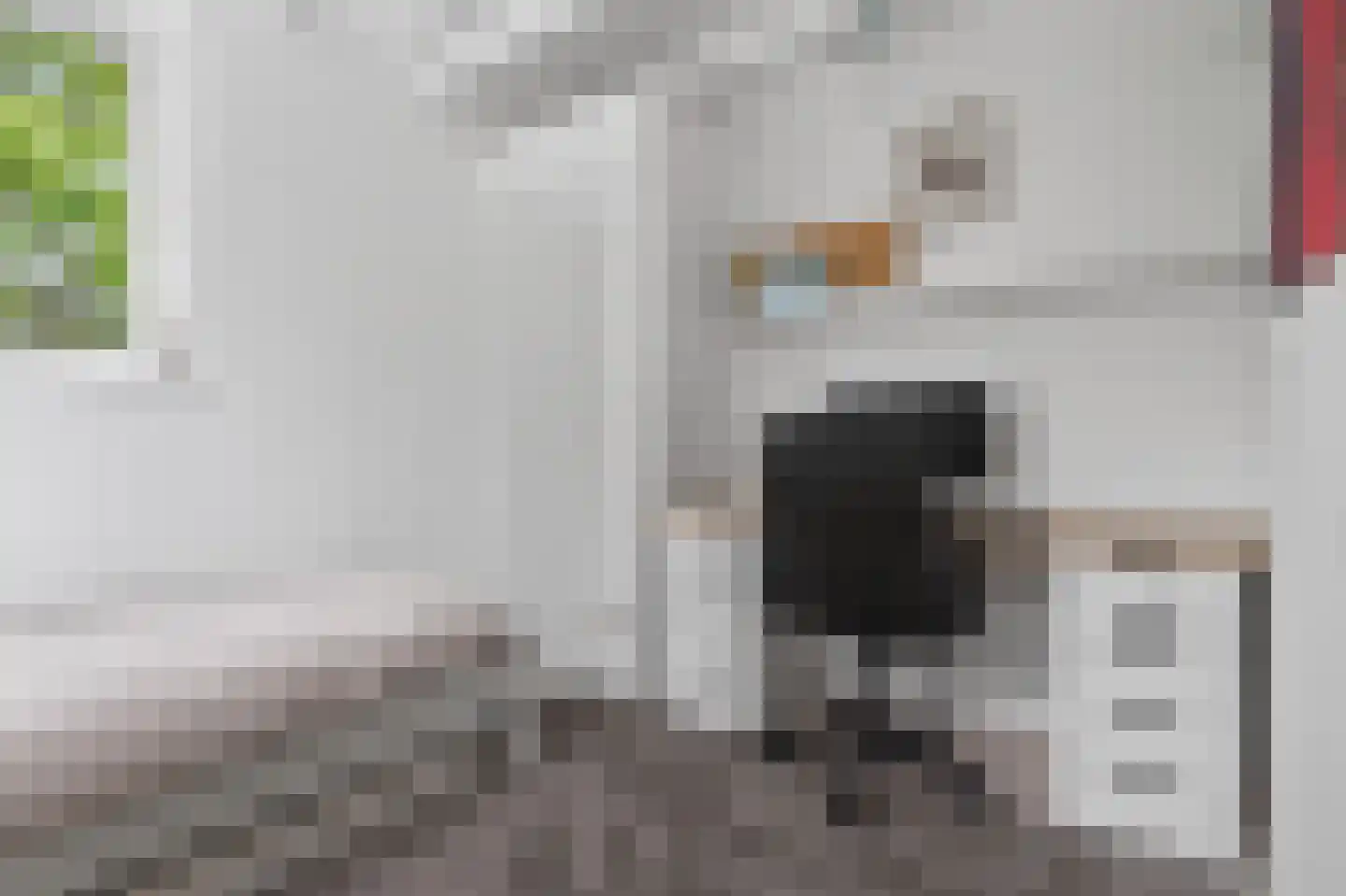 Paasberglaan 20 Arnhem thumbnail 33