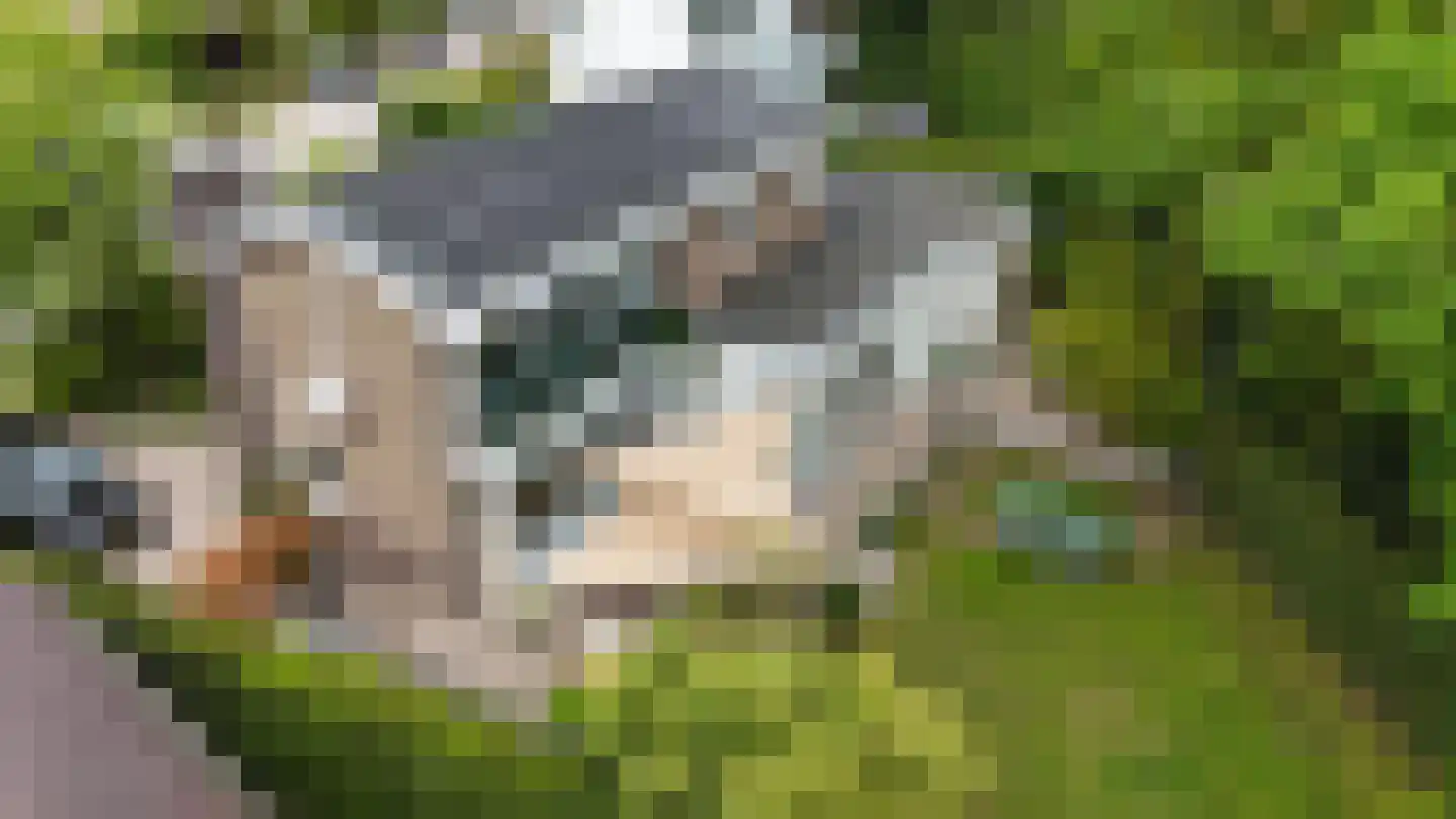Paasberglaan 20 Arnhem thumbnail 44
