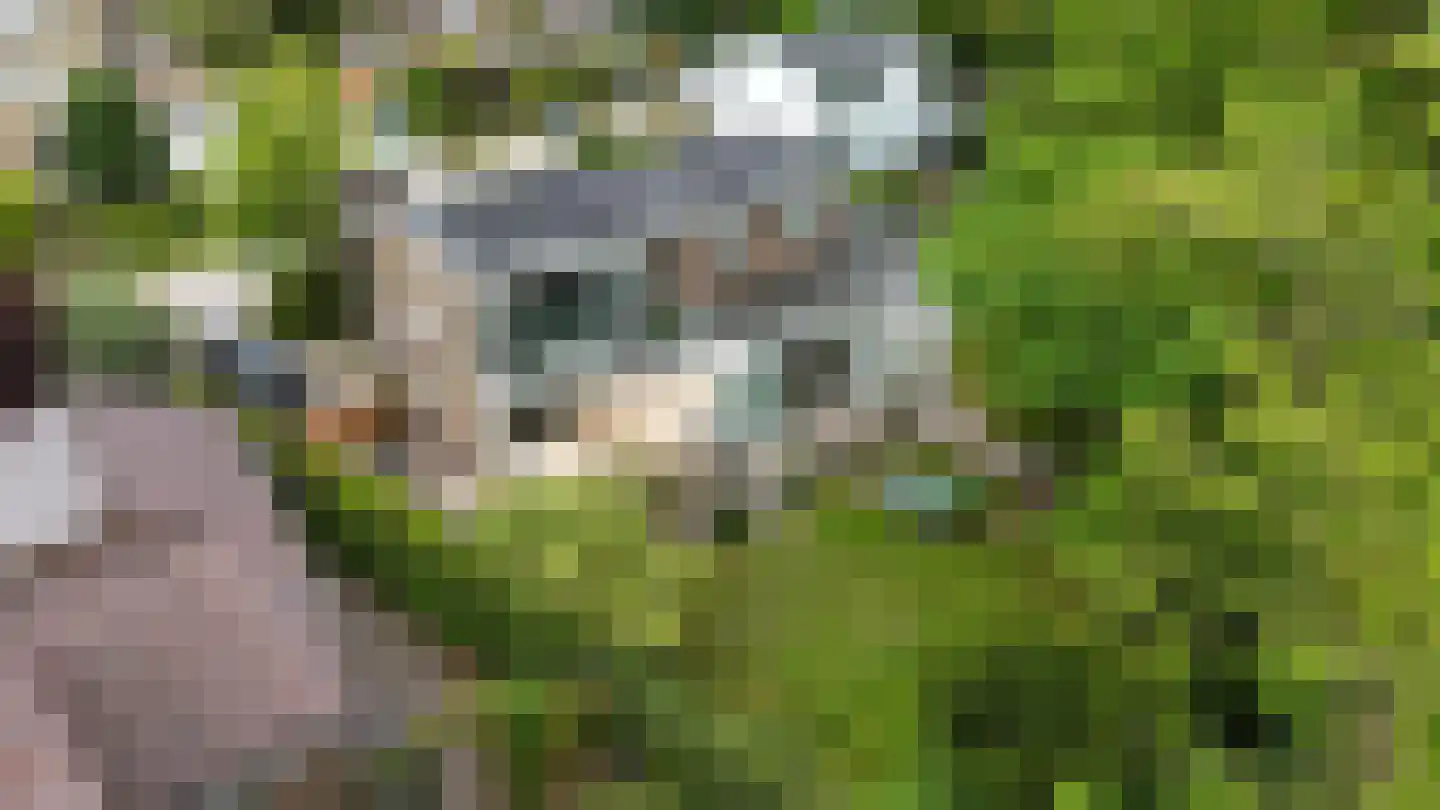 Paasberglaan 20 Arnhem thumbnail 45