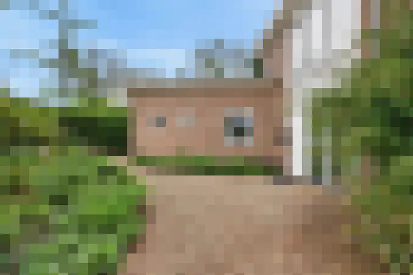 Paasberglaan 20 Arnhem thumbnail 48