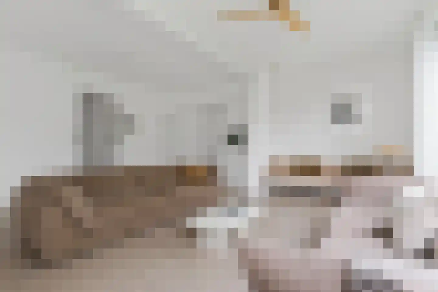 Paasberglaan 20 Arnhem thumbnail 5