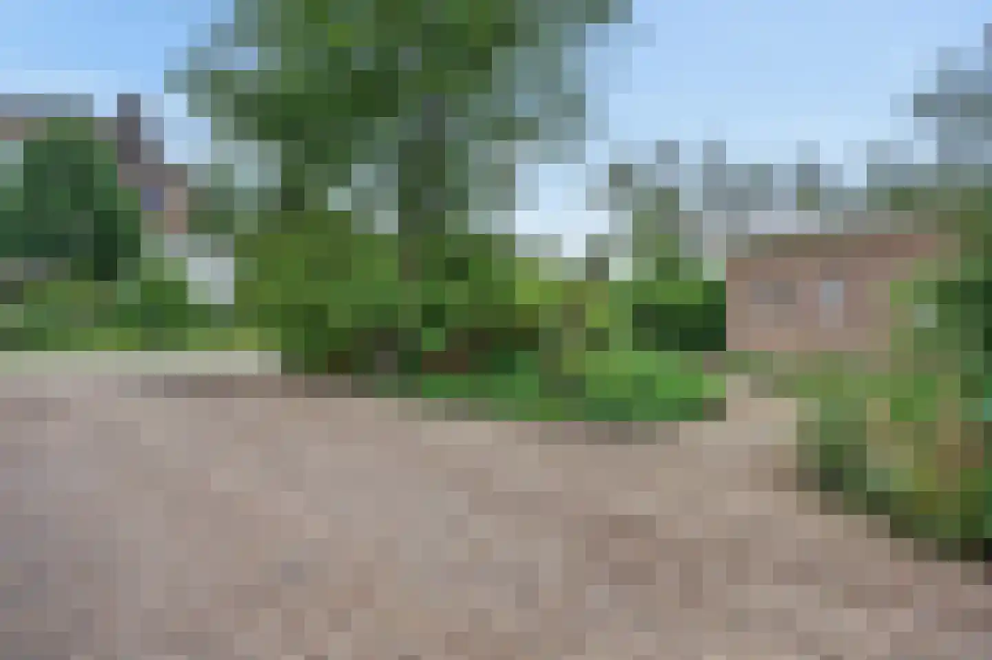 Paasberglaan 20 Arnhem thumbnail 50