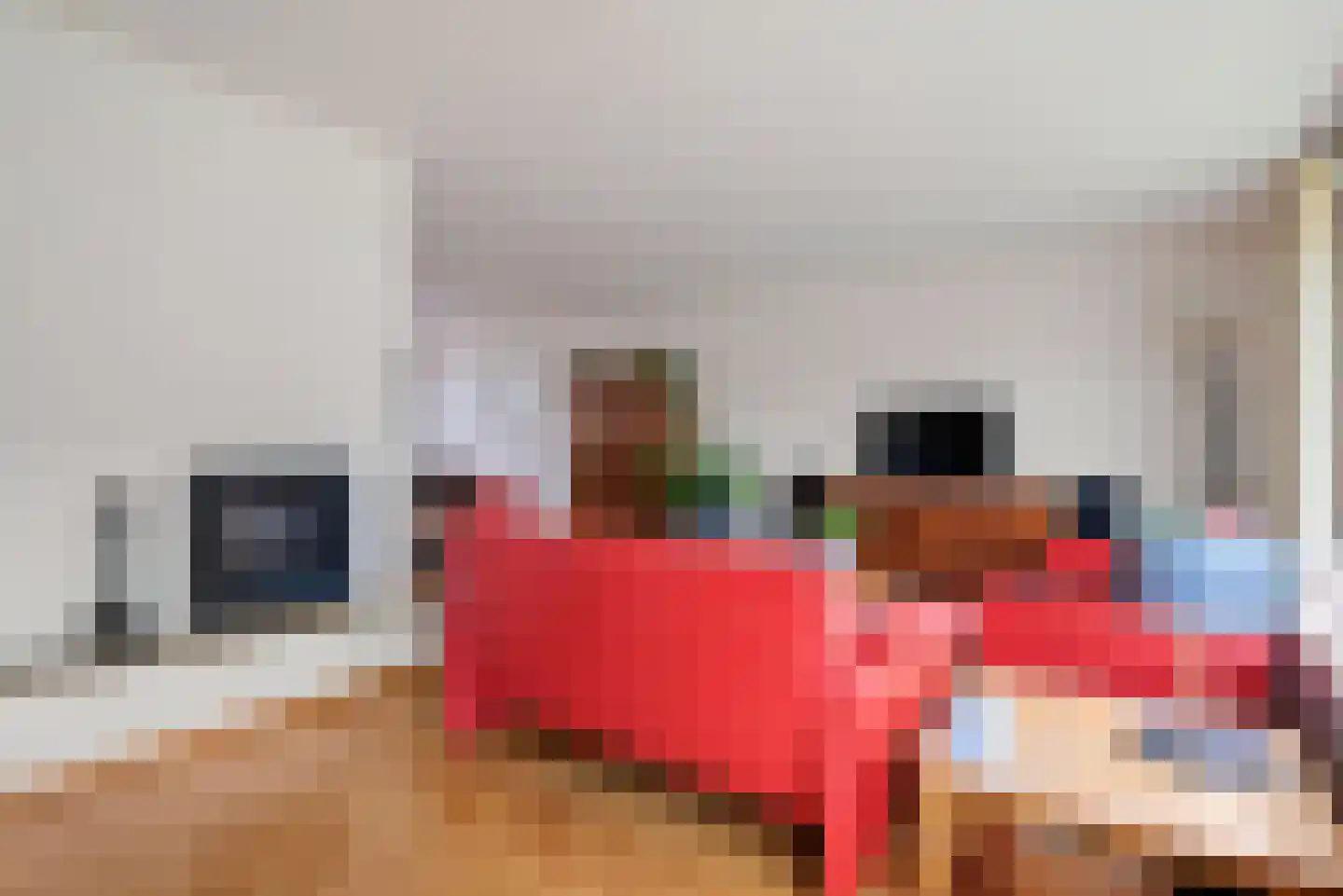 Paasberglaan 26 Eindhoven thumbnail 12