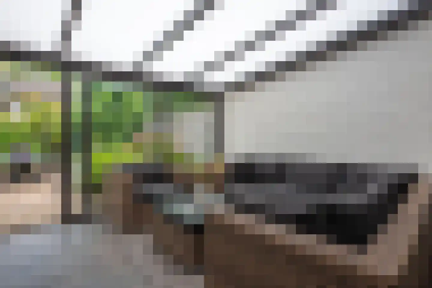 Paasberglaan 26 Eindhoven thumbnail 19