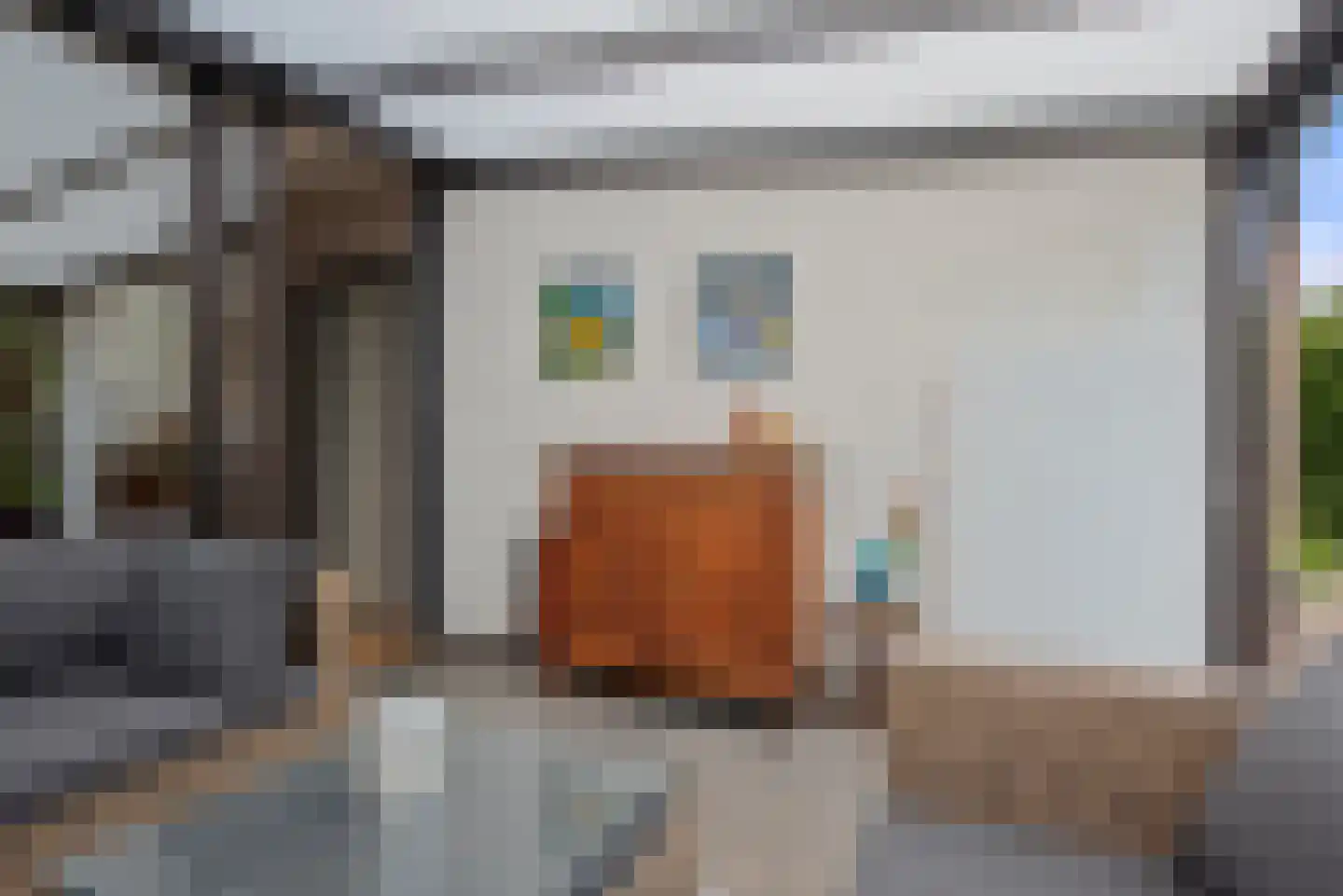 Paasberglaan 26 Eindhoven thumbnail 21