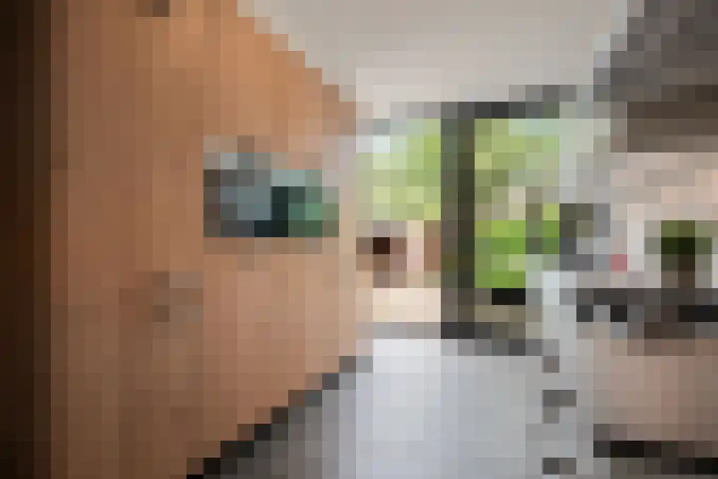 Paasberglaan 26 Eindhoven thumbnail 23