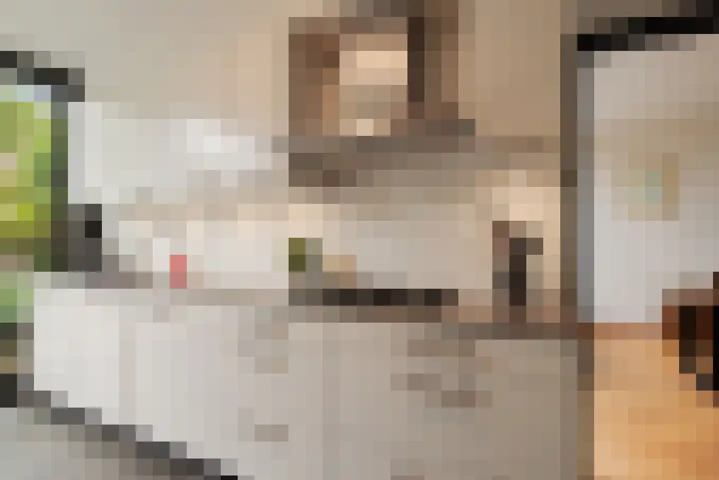Paasberglaan 26 Eindhoven thumbnail 25