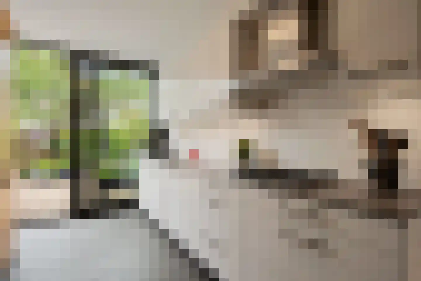 Paasberglaan 26 Eindhoven thumbnail 26