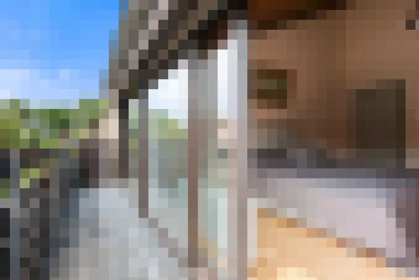 Paasberglaan 26 Eindhoven thumbnail 42