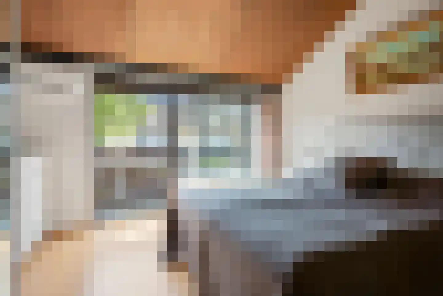Paasberglaan 26 Eindhoven thumbnail 43