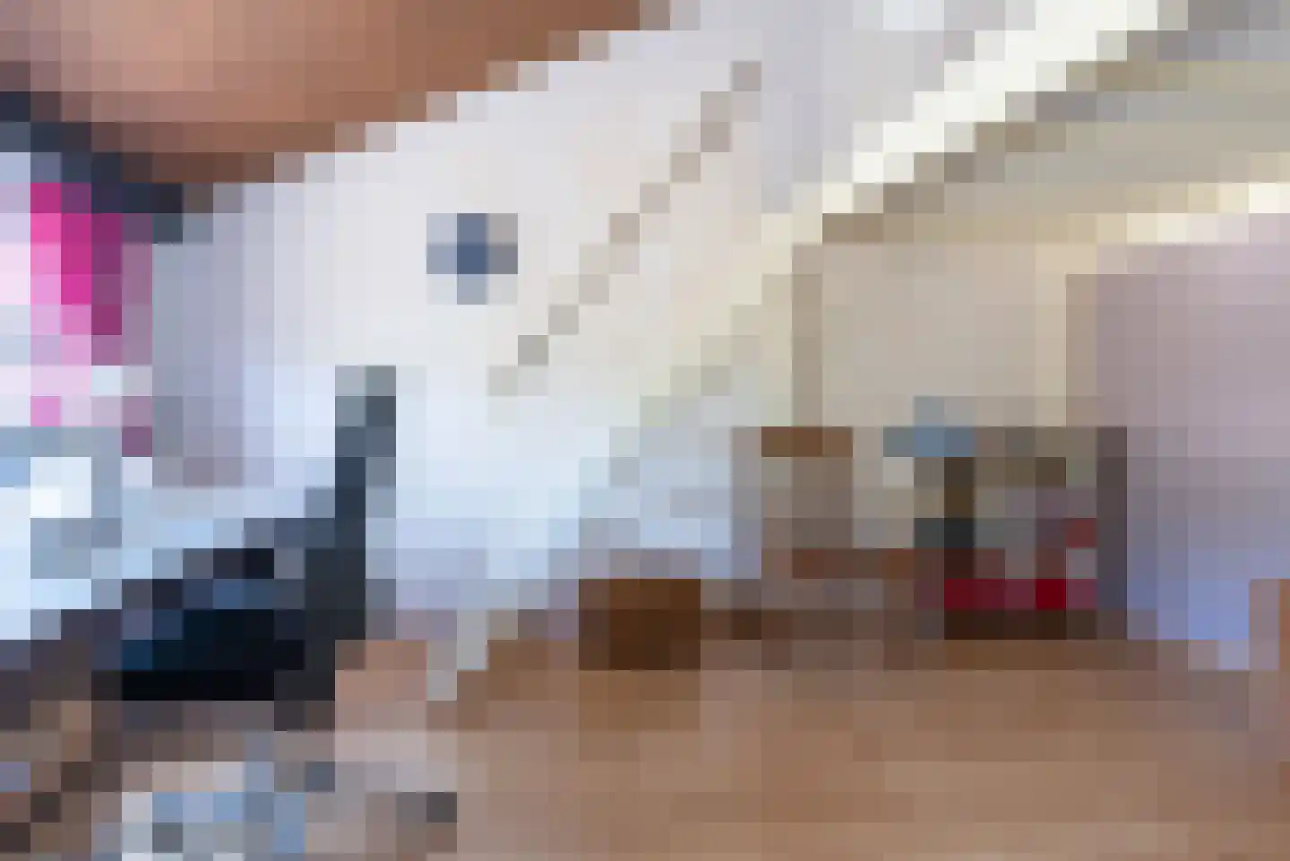 Paasberglaan 26 Eindhoven thumbnail 47